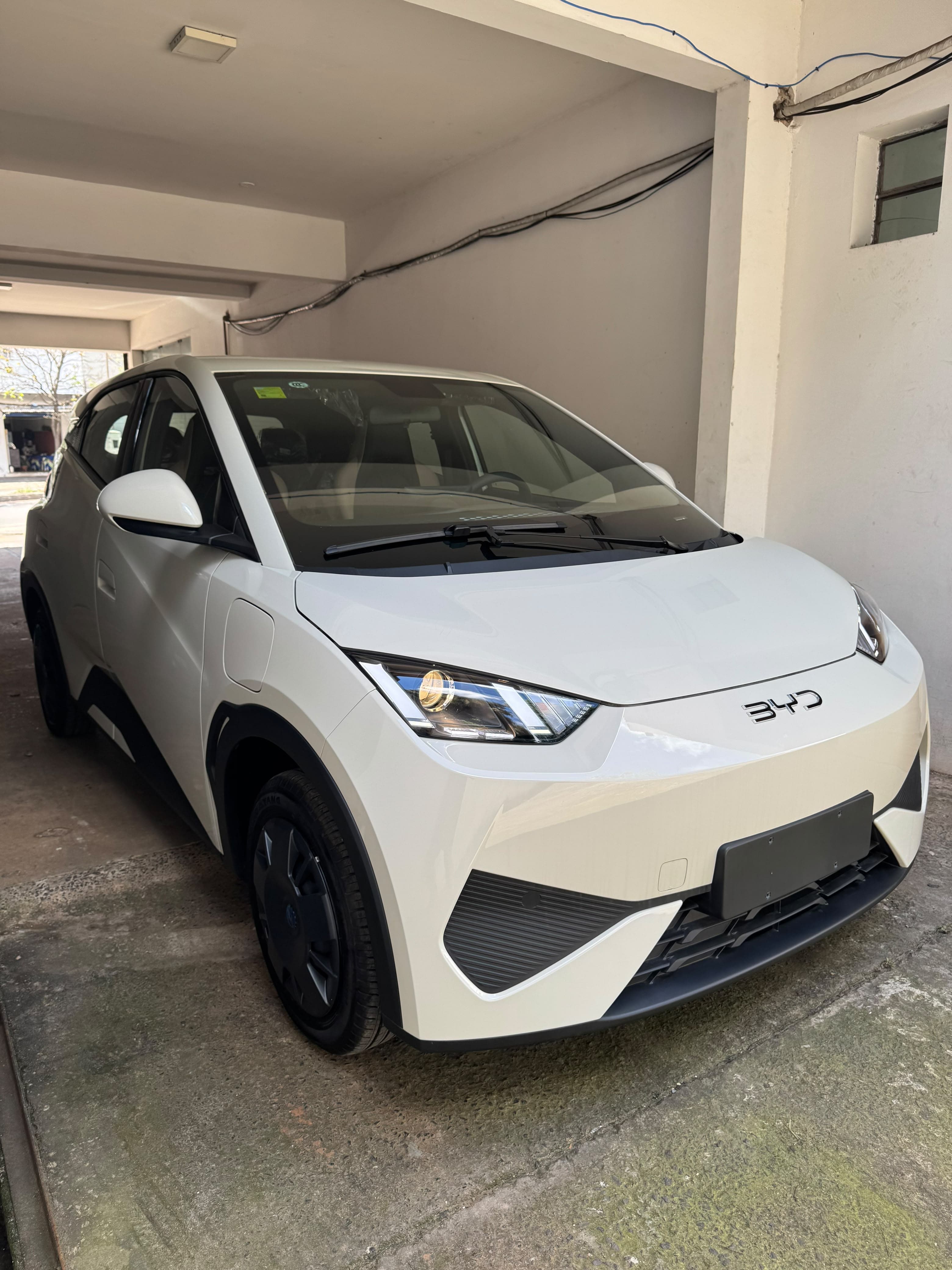 BYD Seagull (Dolphin Mini)